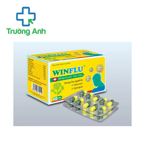 Winflu – Hỗ trợ điều trị cảm cúm hiệu quả