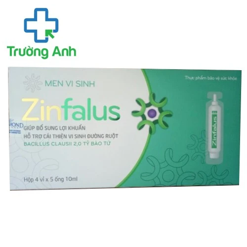 Men Vi Sinh Zinfalus - Bổ sung 2 tỷ bào tử, cải thiện hệ vi sinh đường ruột