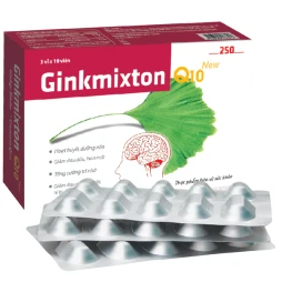 Ginkmixton 250 Q10 - Thực phẩm chức năng giảm đau đầu, chóng mặt