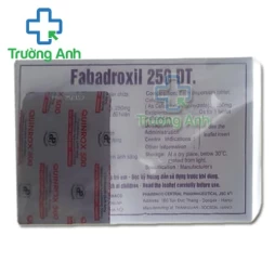 Fabadroxil 250 DT Pharbaco - Thuốc điều trị nhiễm khuẩn hiệu quả