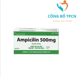 Ampicilin 500mg VCP - Thuốc điều trị nhiễm khuẩn