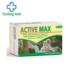 Active Max - Hỗ trợ điều trị thoái hóa khớp, viêm khớp hiệu quả