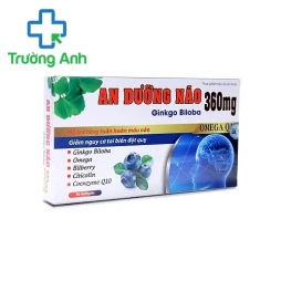 An Dưỡng Não Ginkgo Biloba 360 - Giúp giảm đau đầu, chóng mặt