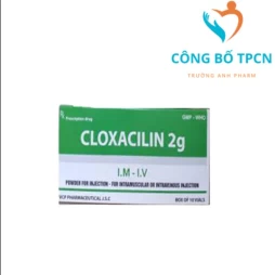 Cloxacilin 2g VCP - Thuốc hỗ trợ kháng sinh