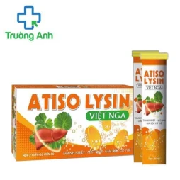 Atiso - Lysin Việt Nga - Hỗ trợ tăng cường chức năng giải độc gan