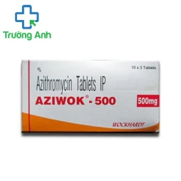 Aziwok - 500 - Thuốc điều trị bệnh nhiễm khuẩn hiệu quả