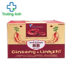 Vitamin 8B With Ginseng + Linhzhi - Giúp nâng cao sức đề kháng