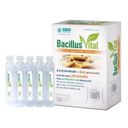 BacillusVita - Bổ sung lợi khuẩn, cải thiện hệ vi sinh đường ruột