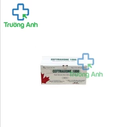 Taxibiotic 1000 - Thuốc điều trị nhiễm khuẩn