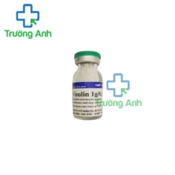 Visulin 1g/0,5g VCP - Thuốc điều trị nhiễm khuẩn