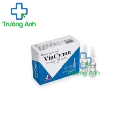 Vincynon 250mg/1ml Vinphaco - Thuốc điều trị và hỗ trợ cầm máu