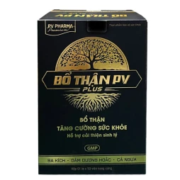 Bổ thận PV Plus - Giúp bổ thận, tăng cường sinh lý nam giới hiệu quả