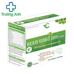 Thực phẩm bảo vệ sức khỏe BRAIN GINKO 300 EXTRA