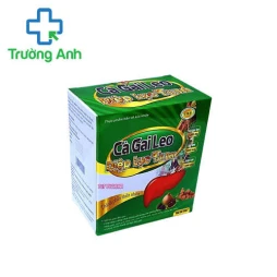 Cà gai leo Diệp lục Tỏi đen - Giúp tăng cường chức năng gan