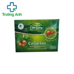 Cà Gai Leo - Bảo vệ gan và hỗ trợ điều trị các bệnh về gan