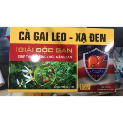 Cà gai leo - Xạ đen - Giúp thanh nhiệt, giải độc gan hiệu quả