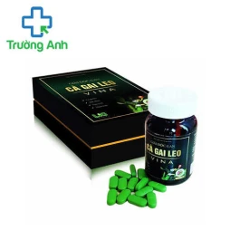 Giải Độc Gan Cà Gai Leo Vina - Hỗ trợ thanh nhiệt bảo vệ gan