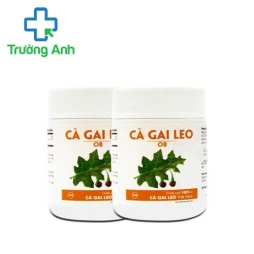 Cà Gai Leo OB - Giúp bảo vệ gan và tăng cường chức năng gan