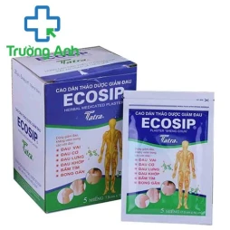 Cao dán Ecosip thảo dược - Miếng dán giảm đau chống viêm hiệu quả