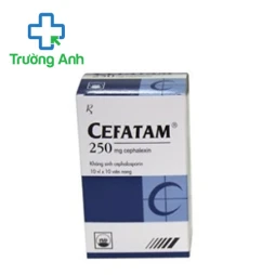 Cefatam 250 Pymepharco - Thuốc điều trị nhiễm khuẩn hiệu quả