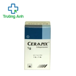 Ceraapix 1g Pymepharco - Thuốc điều trị nhiễm khuẩn hiệu quả