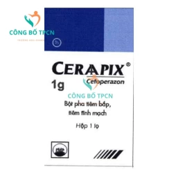Ceraapix 1g Pymepharco - Thuốc điều trị nhiễm khuẩn hiệu quả