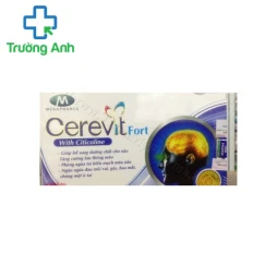 Cerebest Fort - Hỗ trợ tăng tuần hoàn não, tăng cường trí nhớ