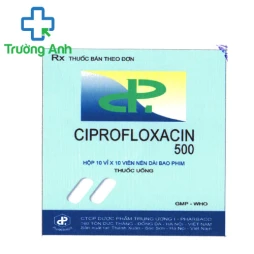 Ciprofloxacin 500mg Pharbaco - Thuốc điều trị nhiễm khuẩn nặng