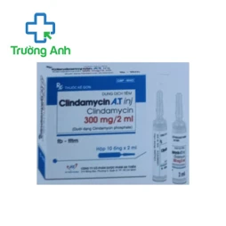 Clindamycin A.T Inj 300mg/2ml - Thuốc điều trị nhiễm khuẩn hiệu quả