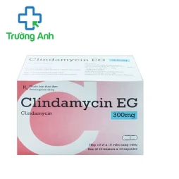 Ceftazidime EG 1g Pymepharco - Thuốc điều trị nhiễm khuẩn hiệu quả