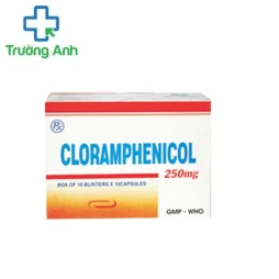 Cloramphenicol 250mg Quapharco - Điều trị nhiễm khuẩn nặng