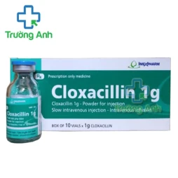 Cloxacillin 1g Imexpharm - Thuốc điều trị nhiễm khuẩn nặng hiệu quả