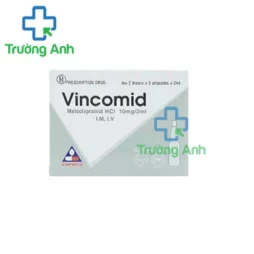 Vingomin 0,2mg/1ml Vinphaco - Thuốc điều trị xuất huyết sản khoa