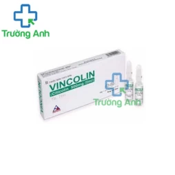 Vincolin 500mg/2ml Vinphaco - Thuốc điều trị bệnh lý thần kinh