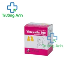 Vincystin 100 Vinphaco - Thuốc tiêu chất nhầy đường hô hấp