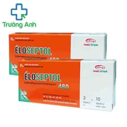 Eloseptol 480 - Thuốc điều trị nhiễm khuẩn hiệu quả