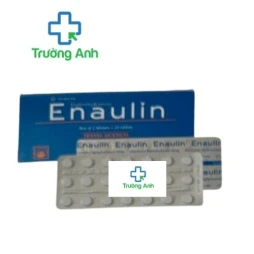 Enaulin 90mg Pymepharco - Thuốc phòng ngừa say tàu xe hiệu quả