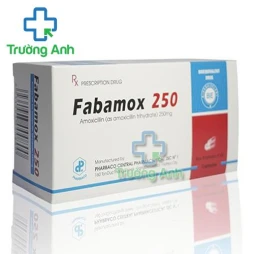 Fabamox 250 - Thuốc điều trị nhiễm khuẩn hiệu quả của Pharbaco