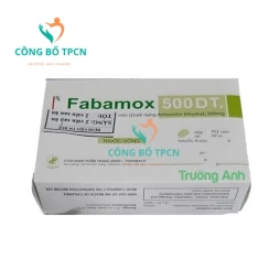 Fabamox 500 DT - Thuốc điều trị nhiễm khuẩn đường hô hấp hiệu quả