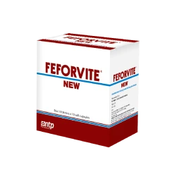 Feforvite New - Giúp phòng ngừa thiếu máu hiệu quả