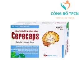 Cerecaps - Thuốc hỗ trợ cải thiện tuần hoàn máu