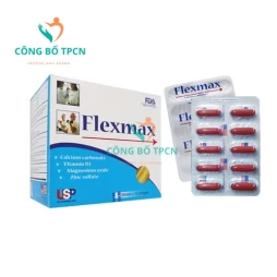 Flexmax - Giúp hỗ trợ cơ xương khớp, cho xương khớp chắc khỏe hơn