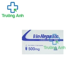 Vin - Hepa - Thuốc điều trị viêm gan mãn tính