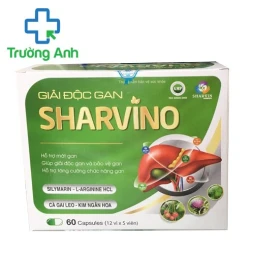Giải độc gan Sharvino - Giúp bảo vệ gan, thanh nhiệt giải độc gan