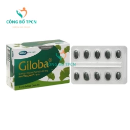 Ginkgo Gilobaa - Giúp hoạt huyết, tăng cường tuần hoàn máu não