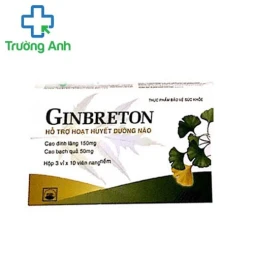 Ginbreton Pymepharco - Hỗ trợ tăng cường tuần hoàn não