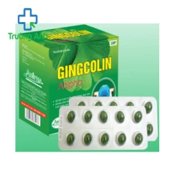 GINGCOLIN ABIPHA - Hỗ trợ tăng cường lưu thông máu não