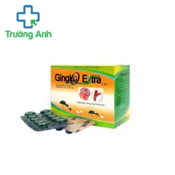 Ginkgo Extra - Hỗ trợ hoạt huyết, tăng cường tuần hoàn máu não
