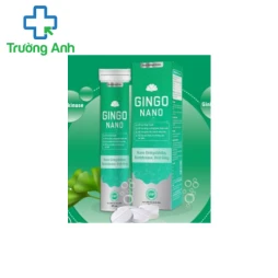 GINGO NANO - Hỗ trợ tăng cường tuần hoàn máu não