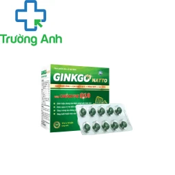 Ginkgo natto with coenzym Q10 - Tăng chức năng tuần hoàn máu não
